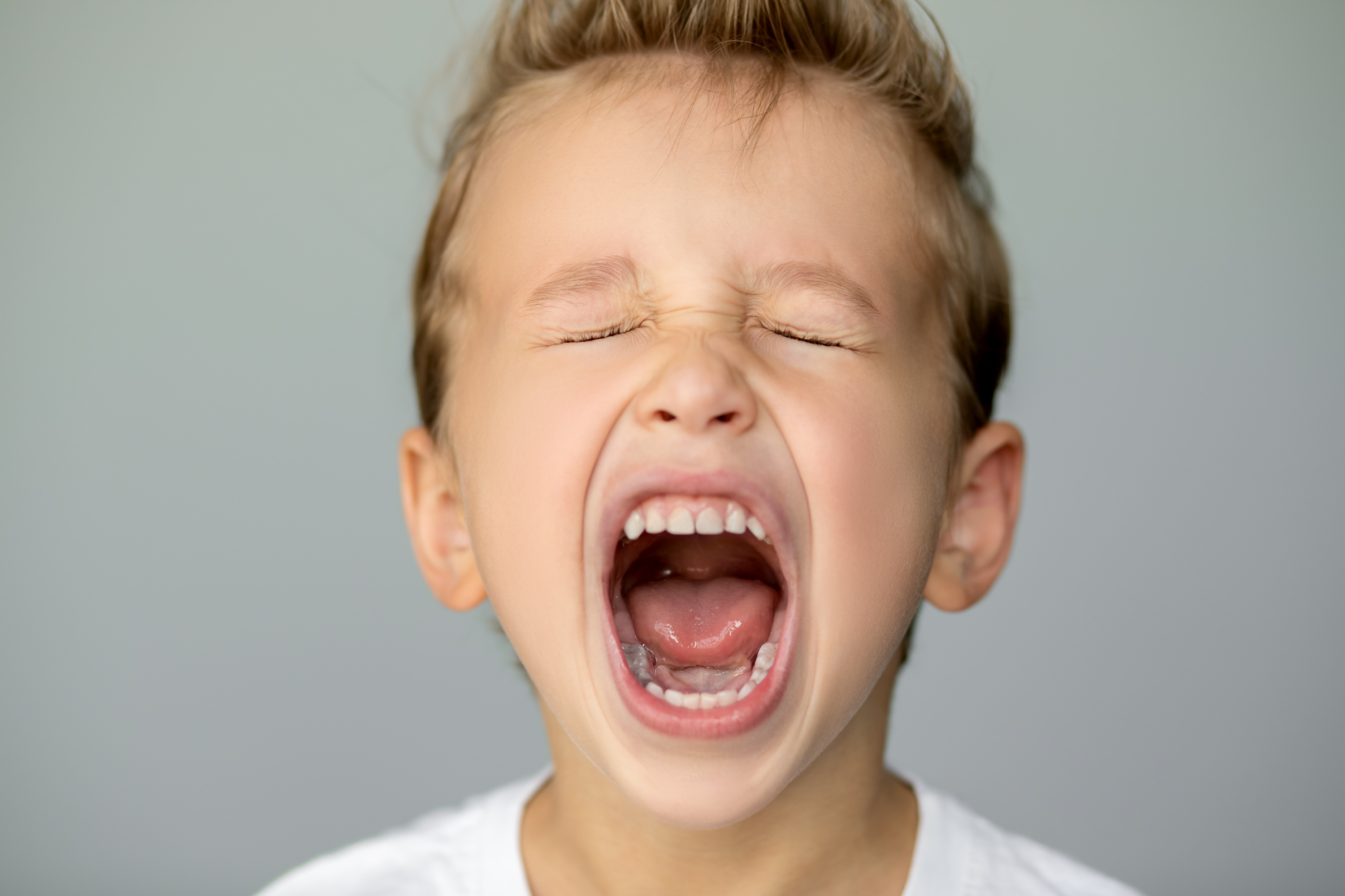 shutterstock_1909394983