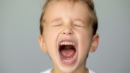 shutterstock_1909394983