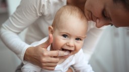 shutterstock_1222671664