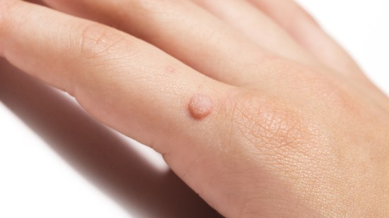 shutterstock_1772308616