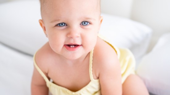 shutterstock_2268179475