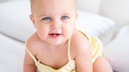 shutterstock_2268179475