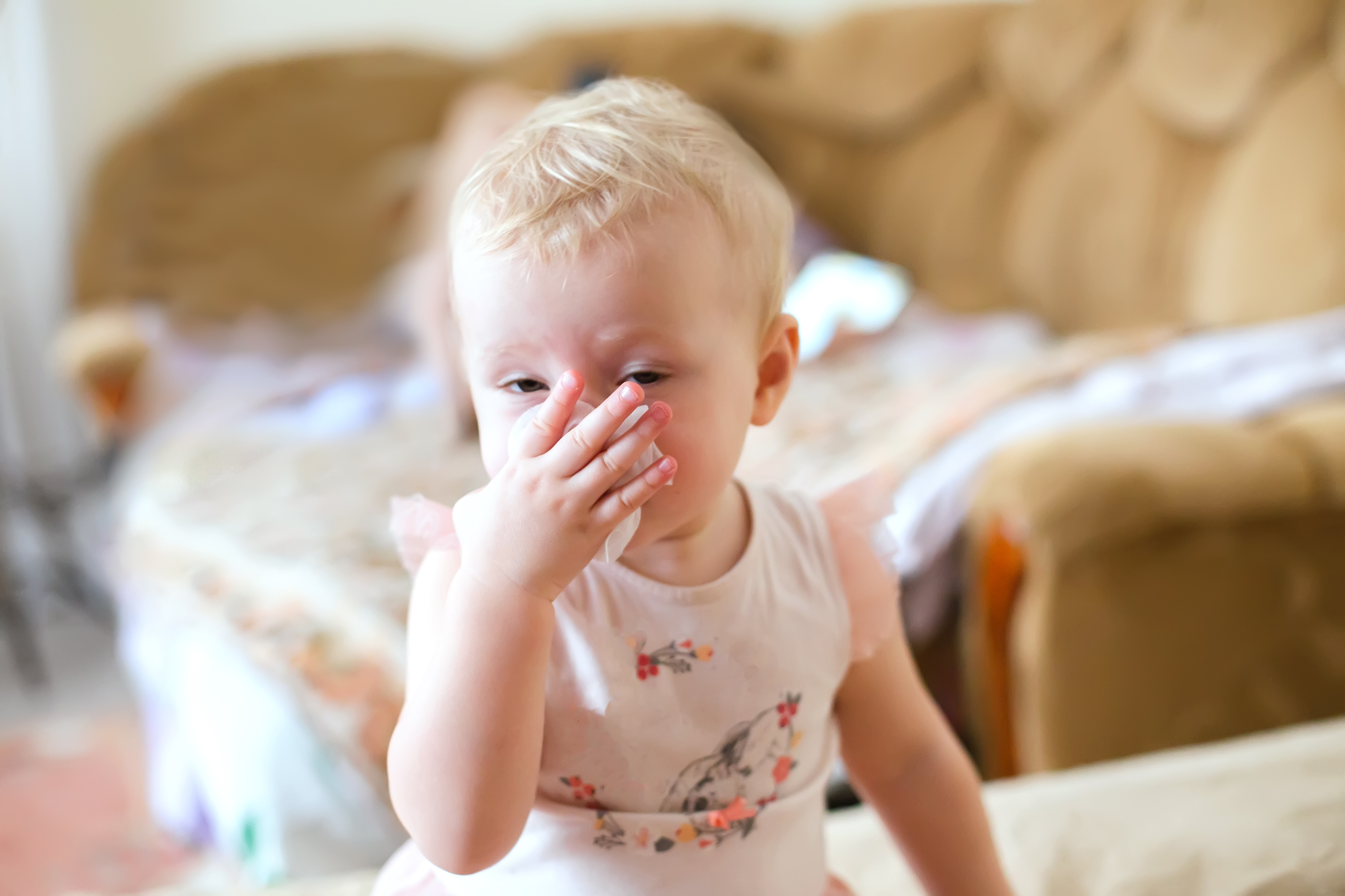 shutterstock_2227289723