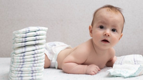 shutterstock_2324378875