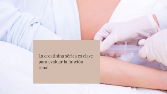 Creatinina y embarazo resuelve tus dudas