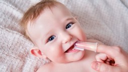 shutterstock_2119642481