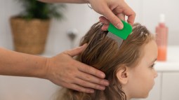shutterstock_2320972173