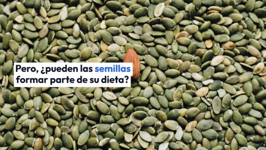 ¿Los bebés pueden comer semillas?