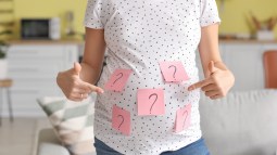 shutterstock_2081320936