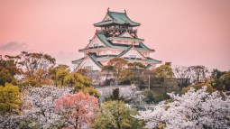 shutterstock_1579780528