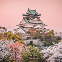 shutterstock_1579780528