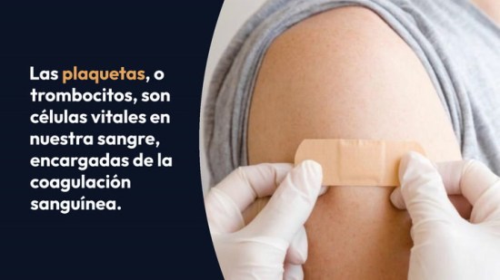 Qué son las plaquetas, funciones y para qué sirven