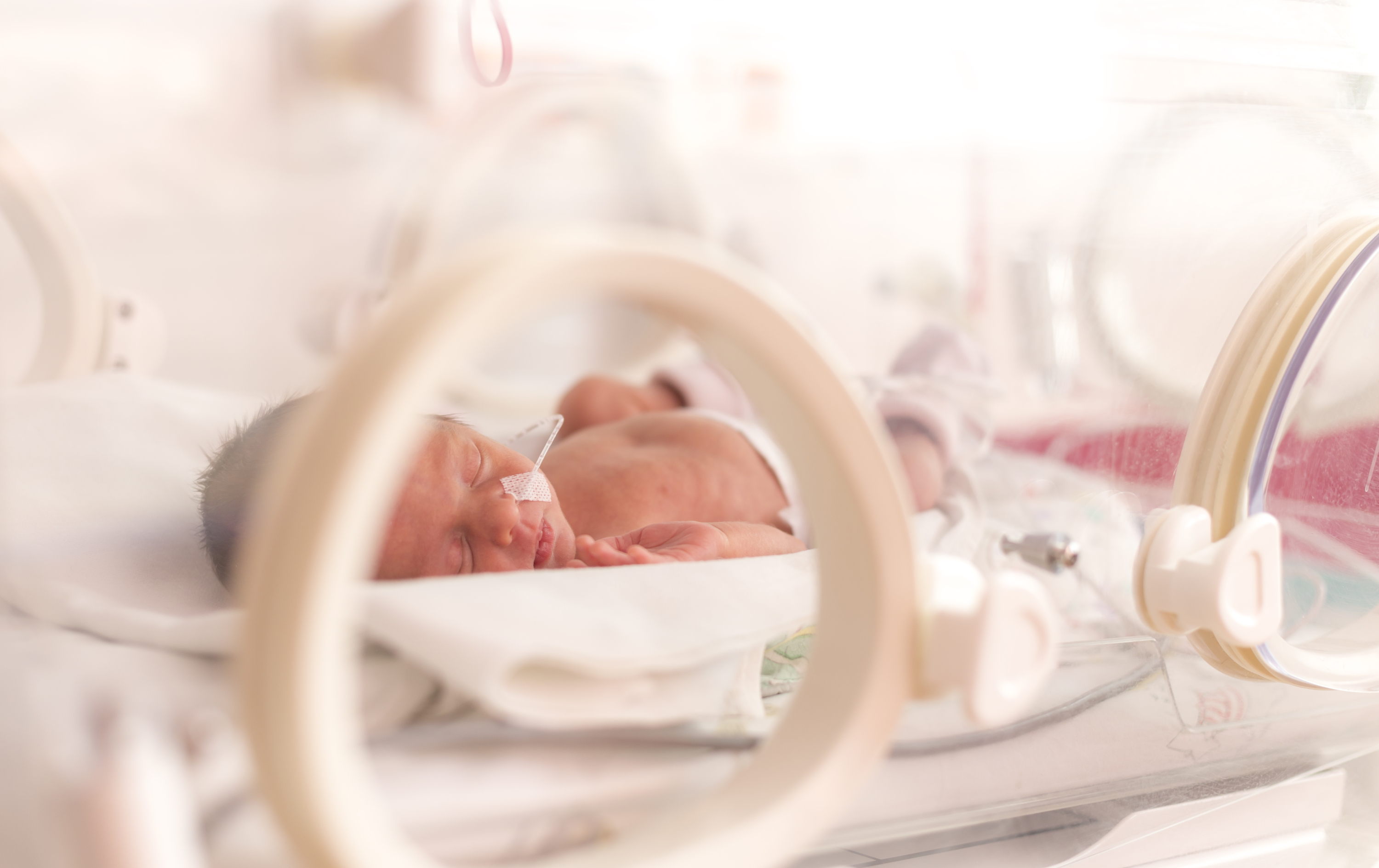 iStock-516987122