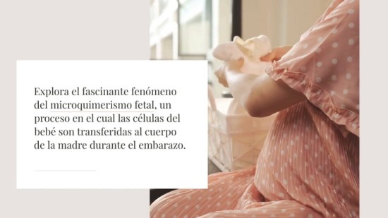 ¿Qué es el microquimerismo fetal?
