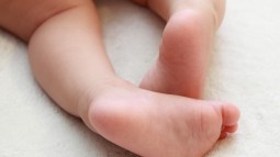 iStock-477969834