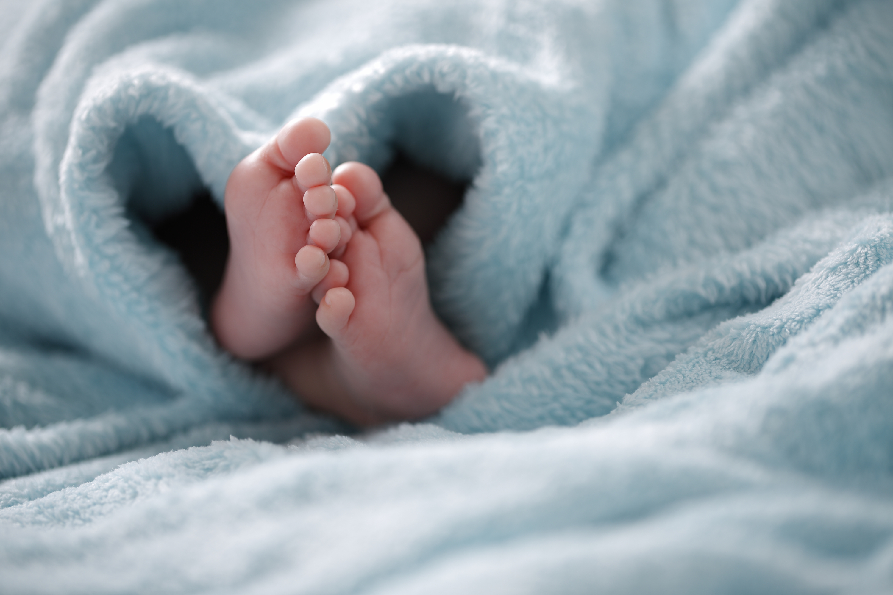 iStock-905837232