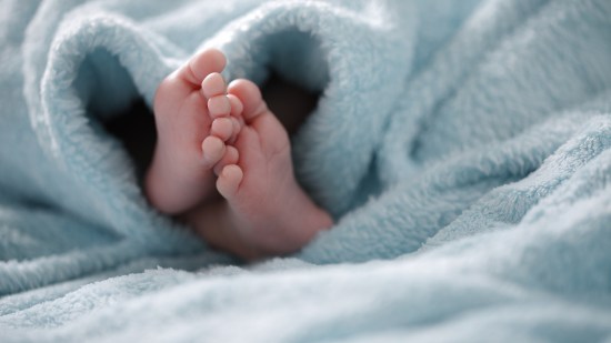 iStock-905837232