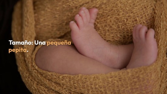 Primer trimestre: así es el tamaño de tu bebé semana a semana