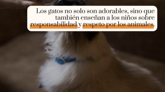 Las mejores razas de gatos para convivir