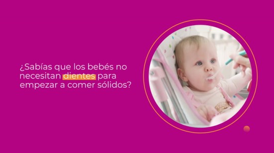 Los bebés pueden masticar aunque no tengan dientes