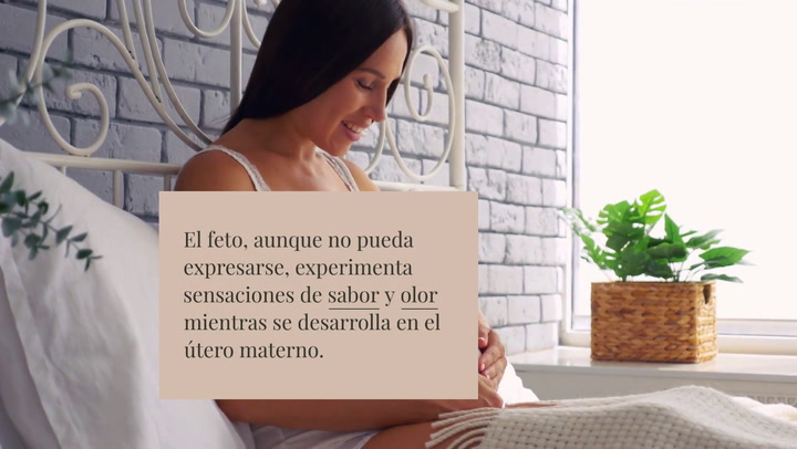 ¿Cómo percibe los sabores y los olores el feto en el vientre de la madre?