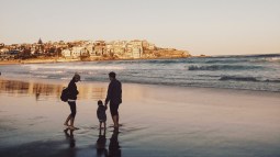 pexels ok (3)