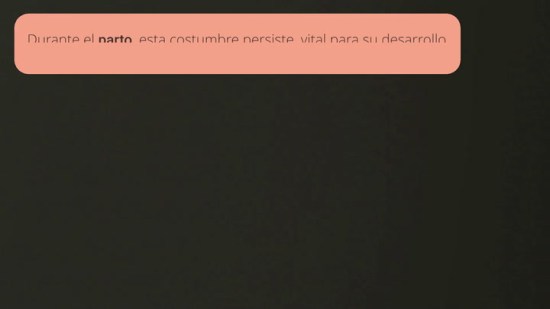 Bebés dormilones: ¿cuándo puede ser preocupante?