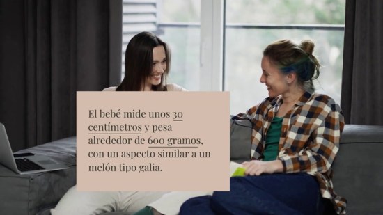 ¿Qué se puede ver en una ecografía a las 24 semanas de embarazo?