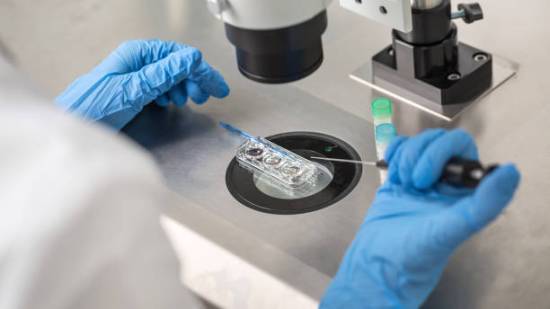 Trabajo en el laboratorio