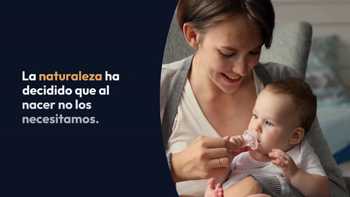 ¿Cuántos dientes suele tener un niño de 3 años?