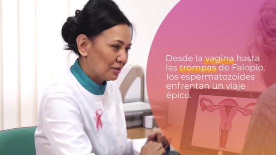El comienzo de una nueva vida
