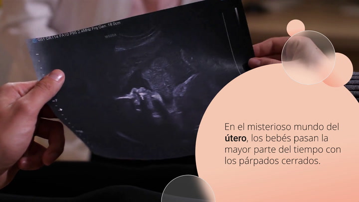 ¿Puede ver y soñar el bebé en el vientre de la madre?