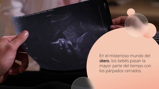 ¿Puede ver y soñar el bebé en el vientre de la madre?