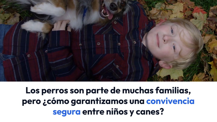 Niños, perros y seguridad infantil: consejos