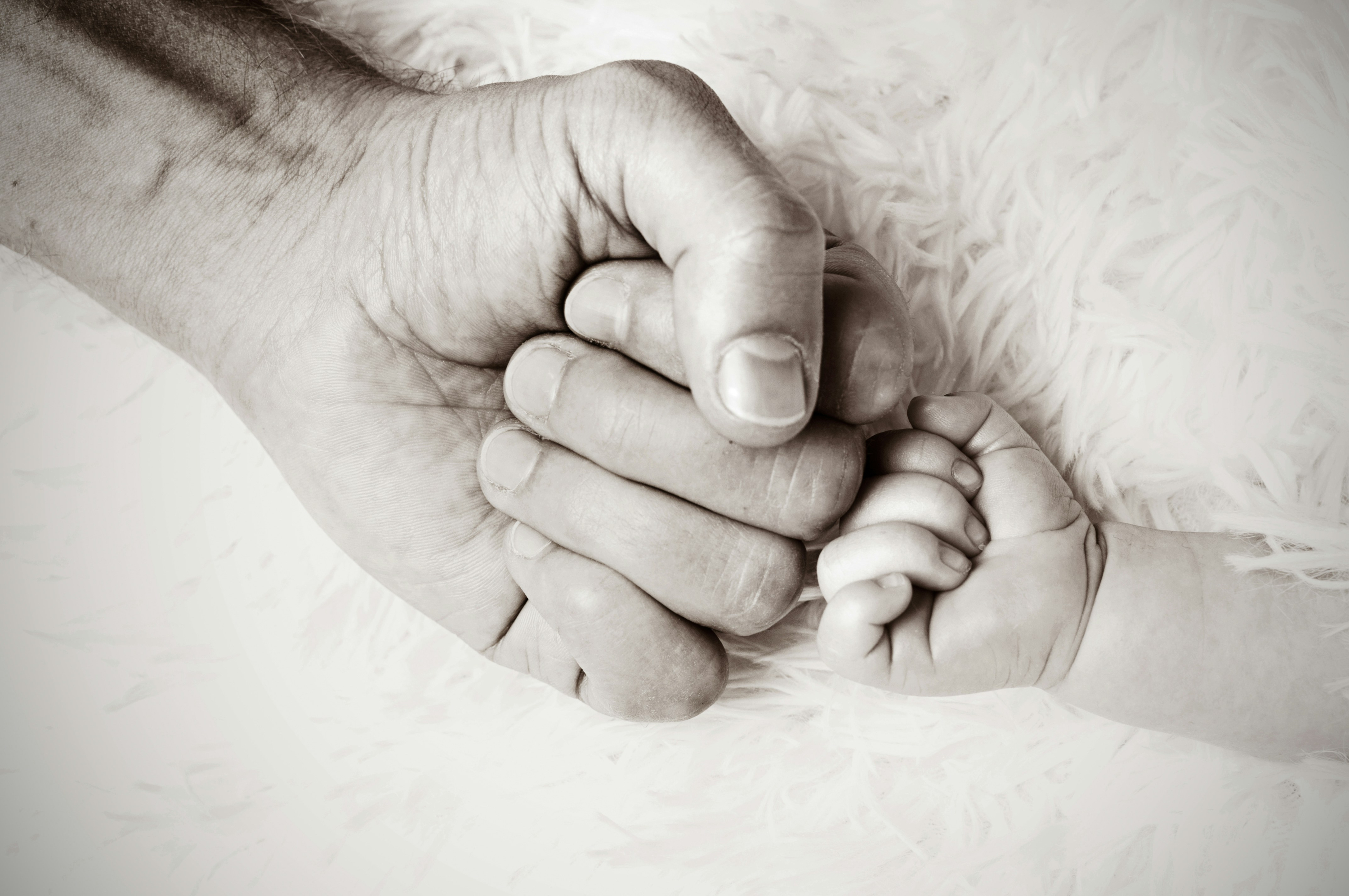 Paternidad