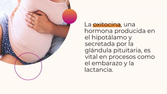 ¿Qué es la oxitocina y cuáles son sus efectos?