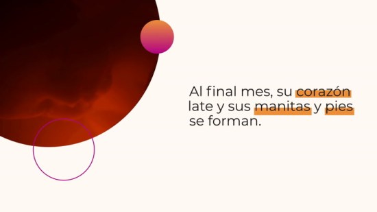 El desarrollo de tu bebé mes a mes: ¿qué hace el bebé en cada etapa del embarazo?