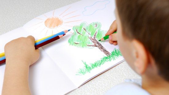 Niño dibujando un árbol