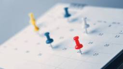 istockphoto-1409304190-612x612