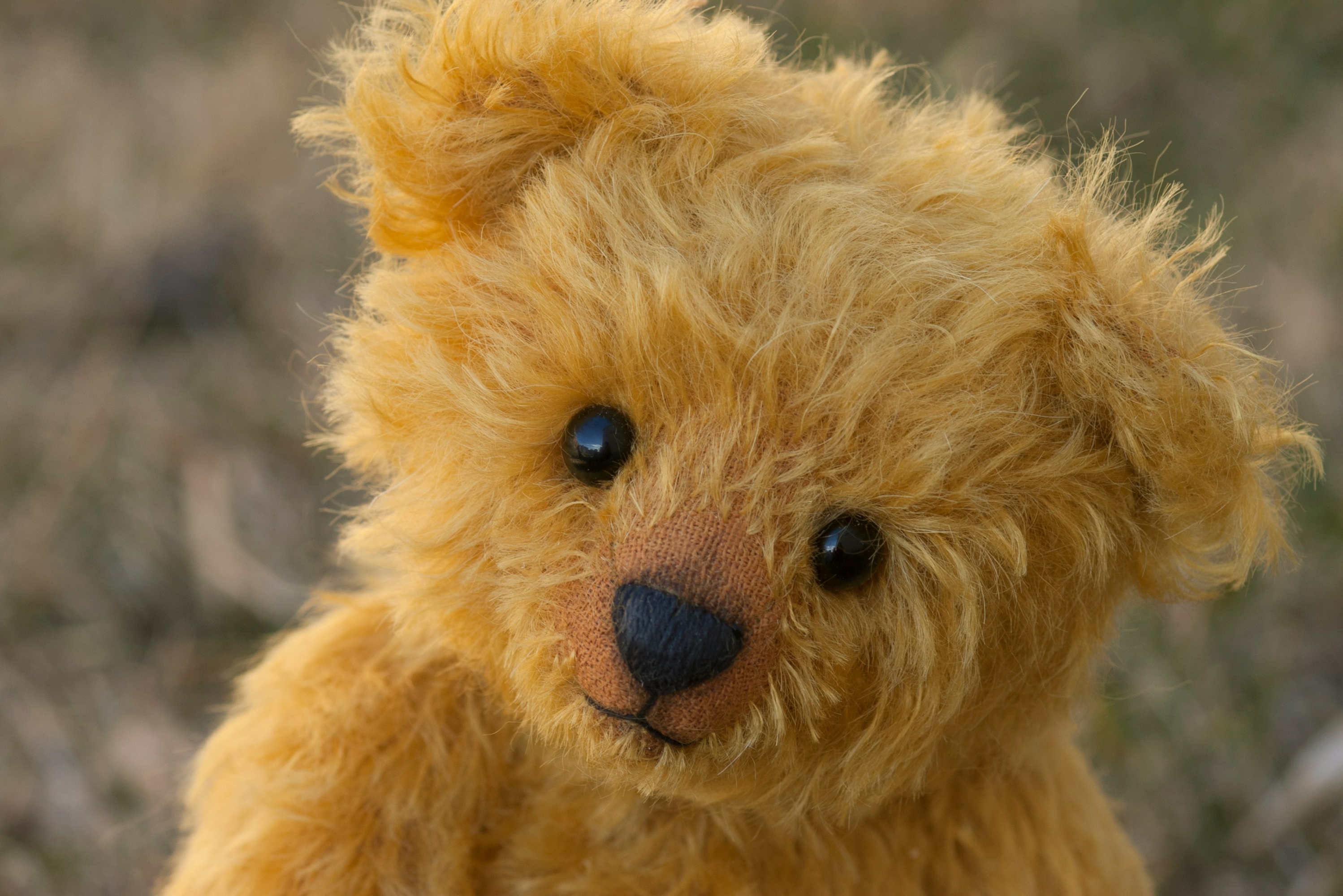 Oso de peluche