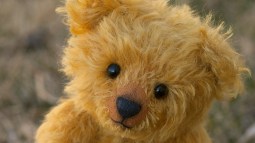 Oso de peluche