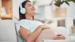 istockphoto-1459569612-612x612