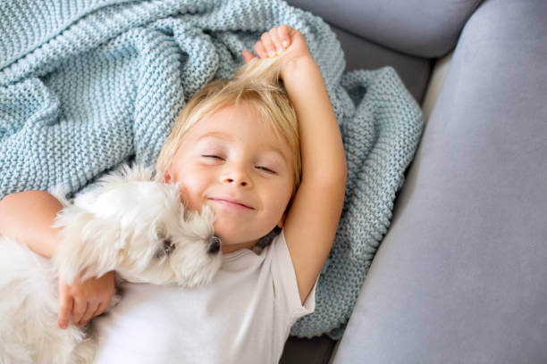 istockphoto-1273294647-612x612