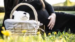 Los 3 consejos para quedarse embarazada de una niña: ¿la ciencia respalda alguno de ellos? - Fuente: Pexels
