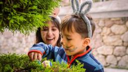 istockphoto-2004363401-612x612