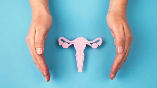 Aparato reproductor femenino