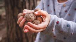 Niña con un puñado de nueces