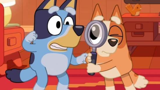 Bluey y Bingo