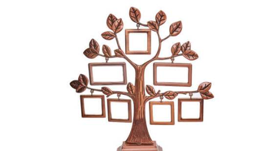 istockphoto-1297511410-612x612