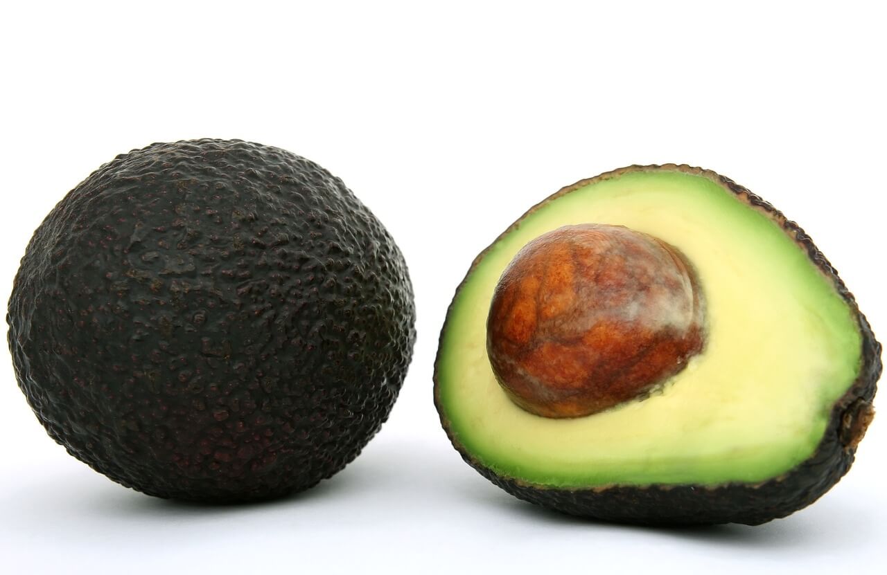Plantar un hueso de aguacate paso a paso